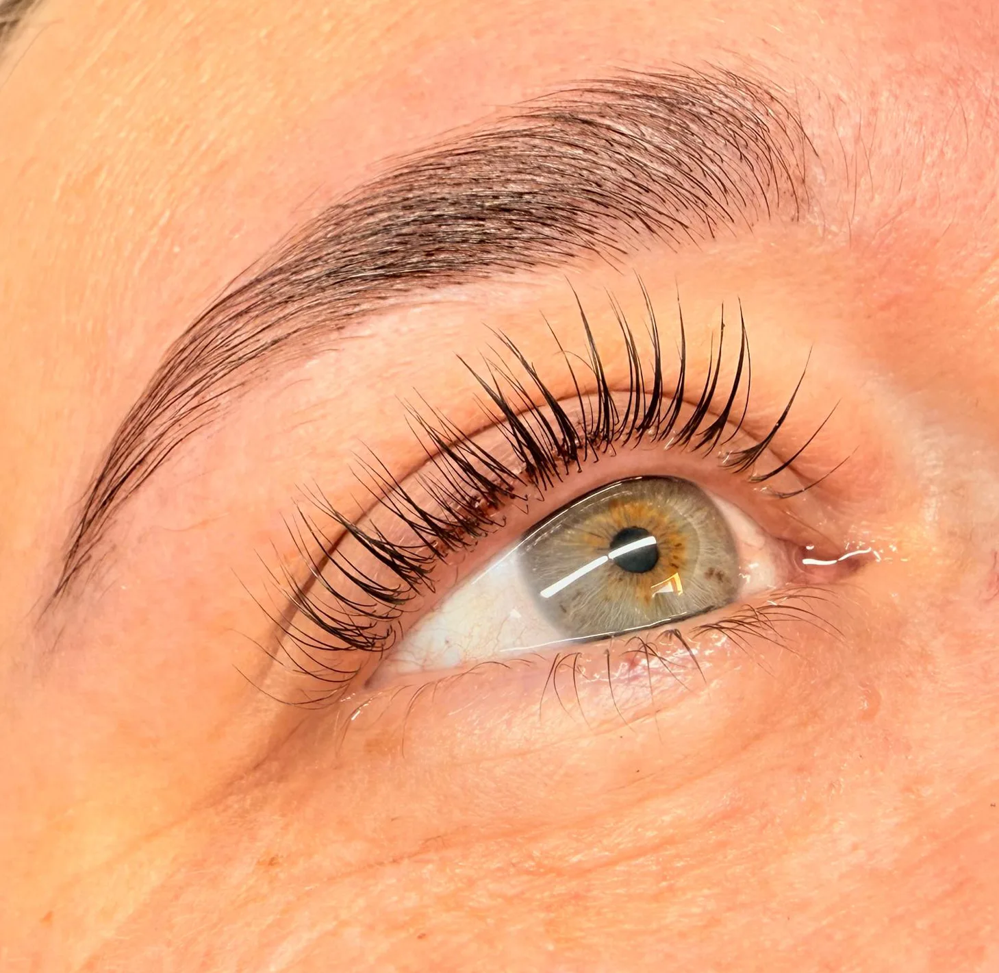 Wimpernlifting & Browlifting Hofheim – Katharina Geuppert